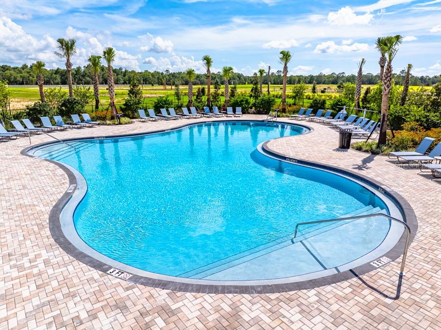 Listing photo id 19 for 12479 Whisk Court