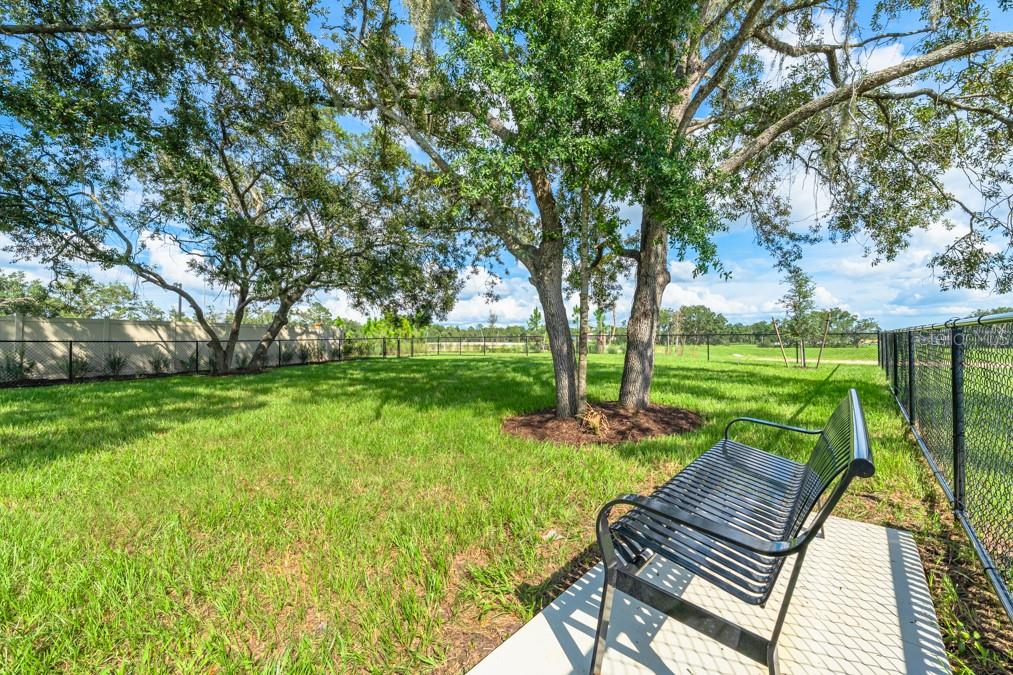 Listing photo id 27 for 12479 Whisk Court