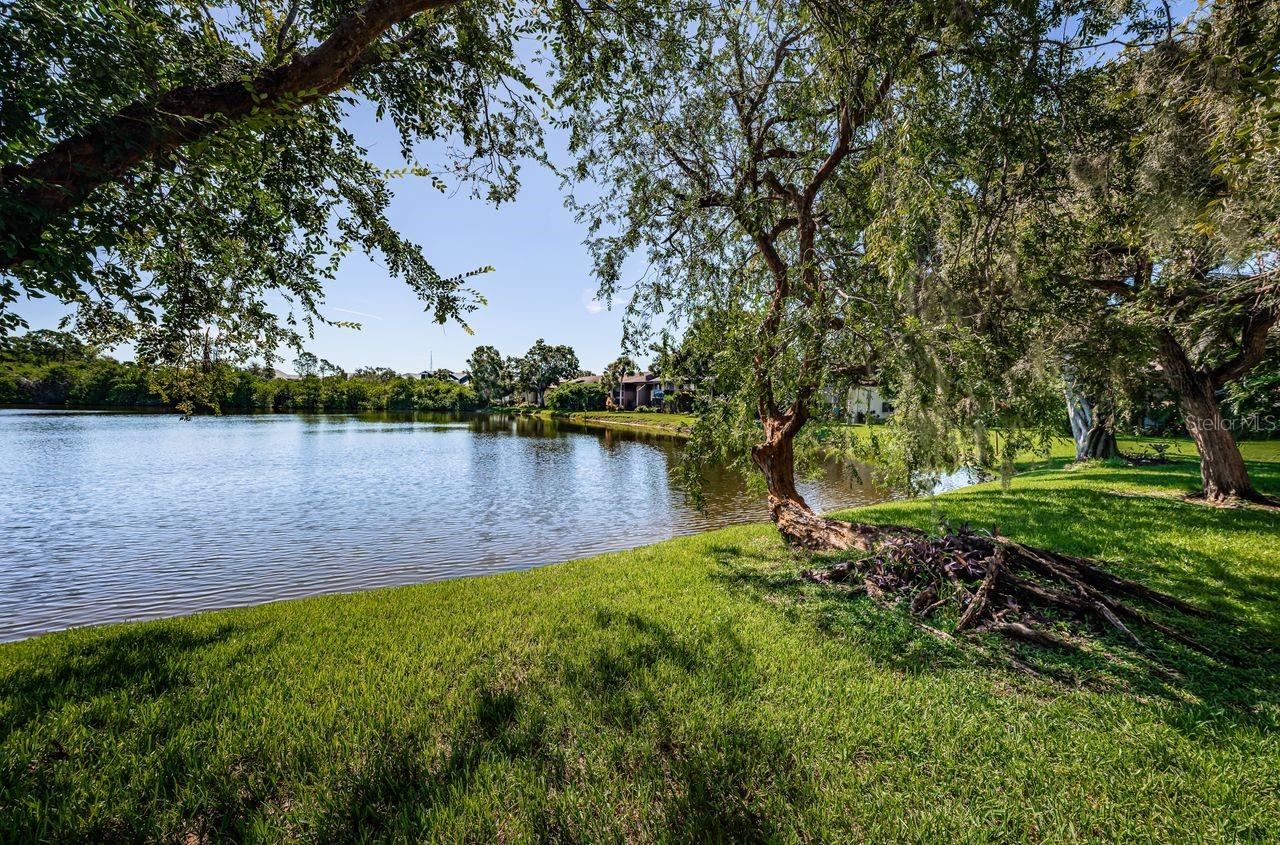 Image 11 of 93 For 10735 Village Club Circle N 104