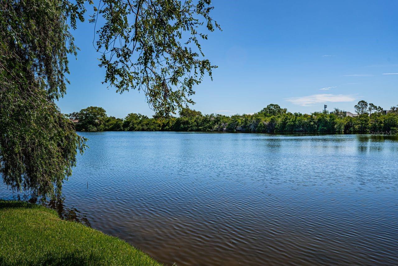 Image 48 of 93 For 10735 Village Club Circle N 104