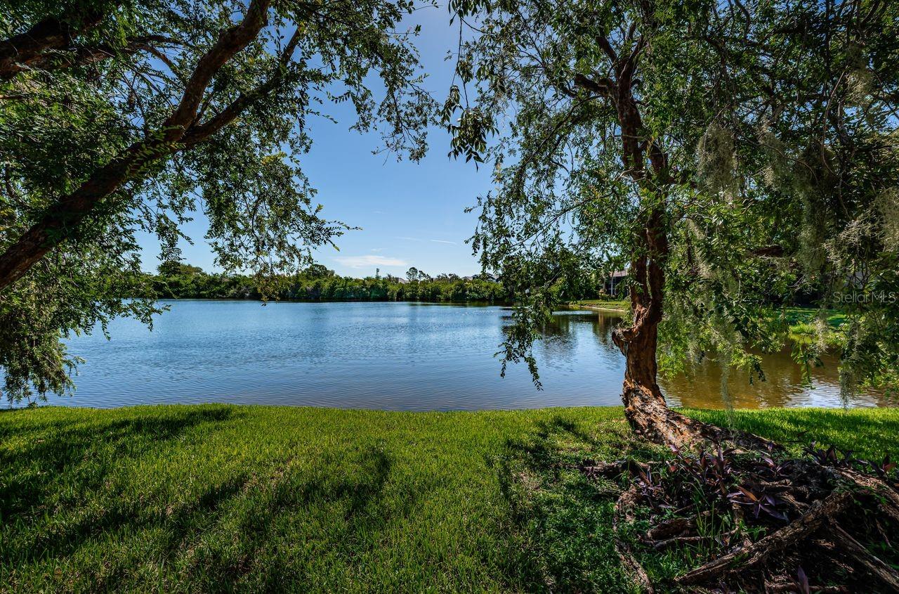 Image 49 of 93 For 10735 Village Club Circle N 104