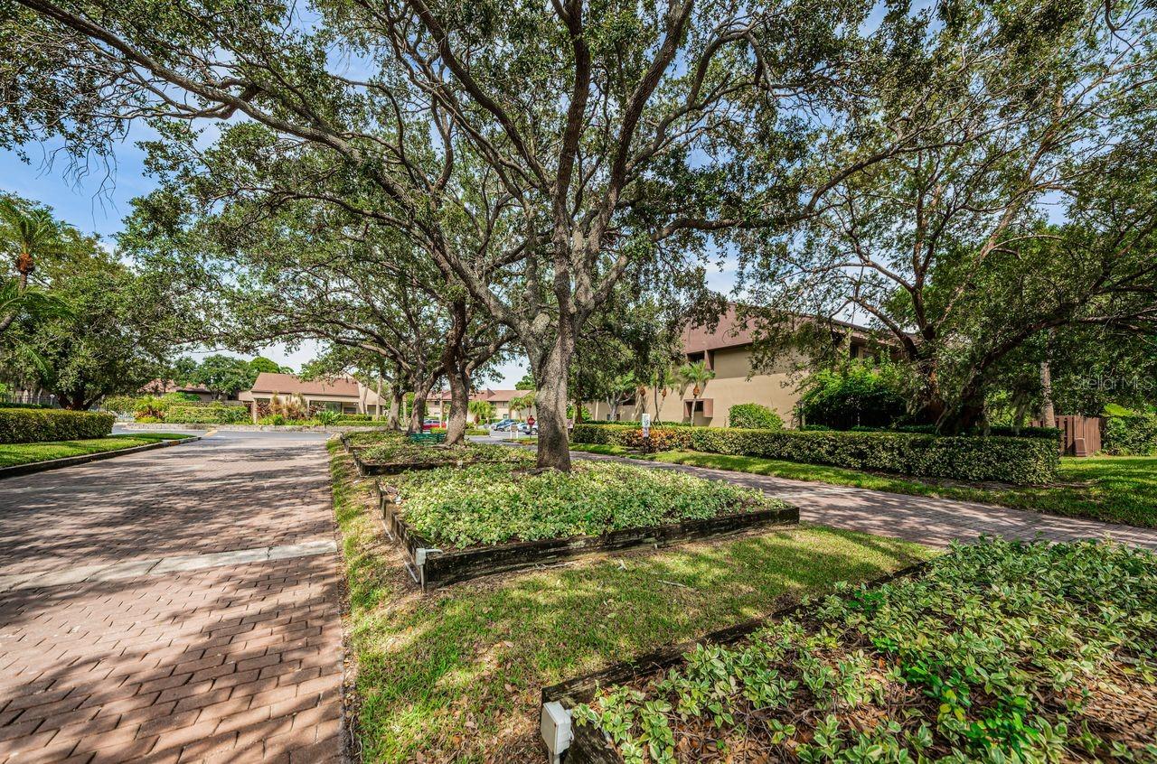 Image 82 of 93 For 10735 Village Club Circle N 104