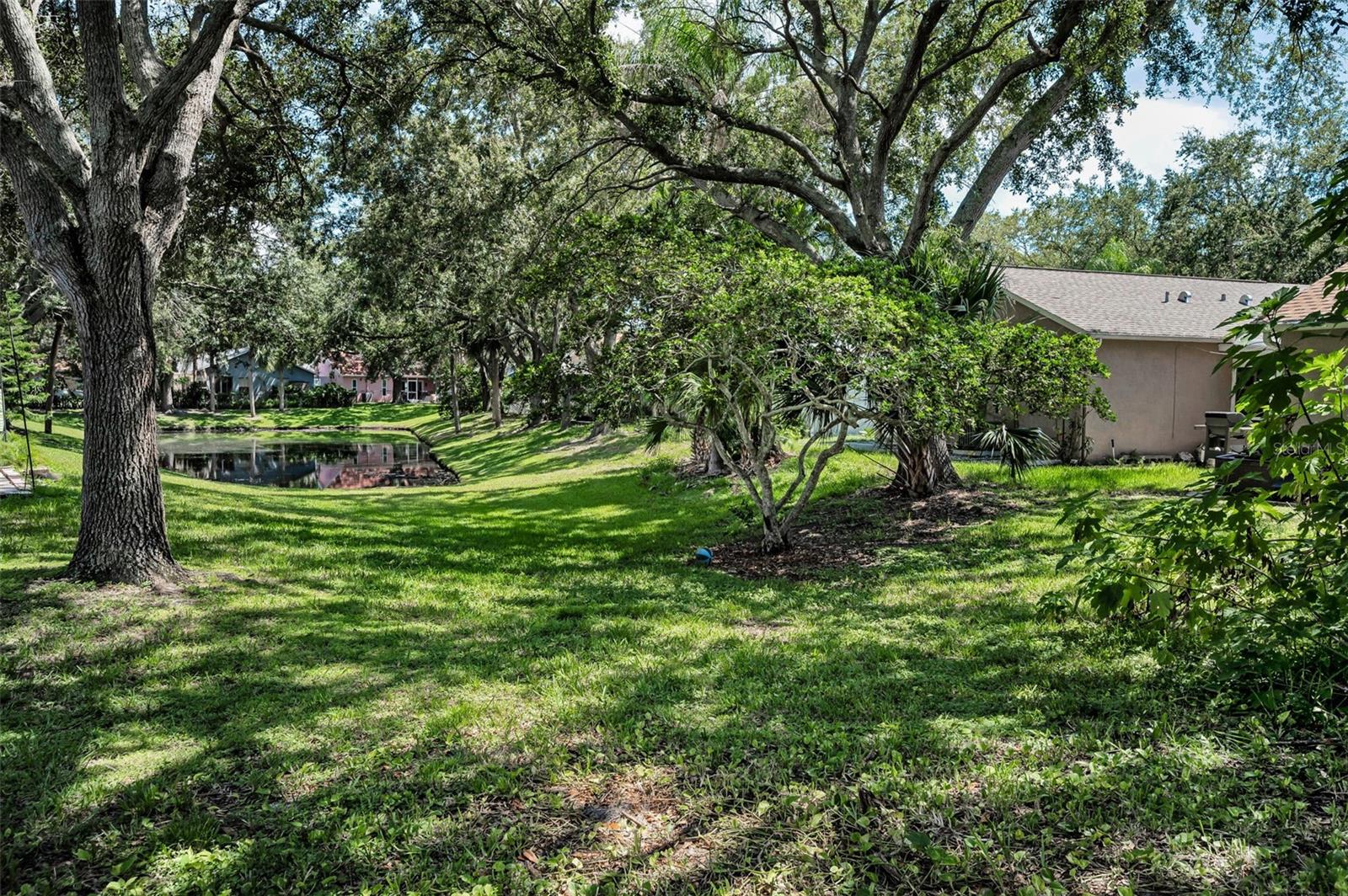 Image 44 of 53 For 3678 Amelia Way