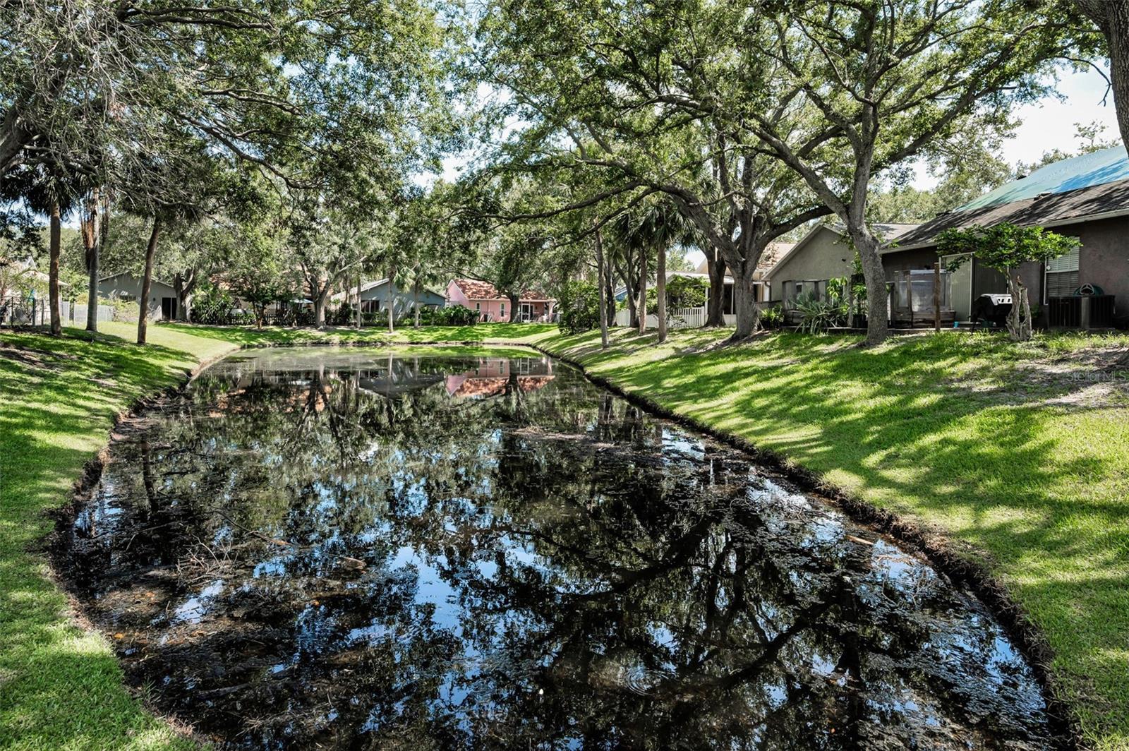 Image 46 of 53 For 3678 Amelia Way
