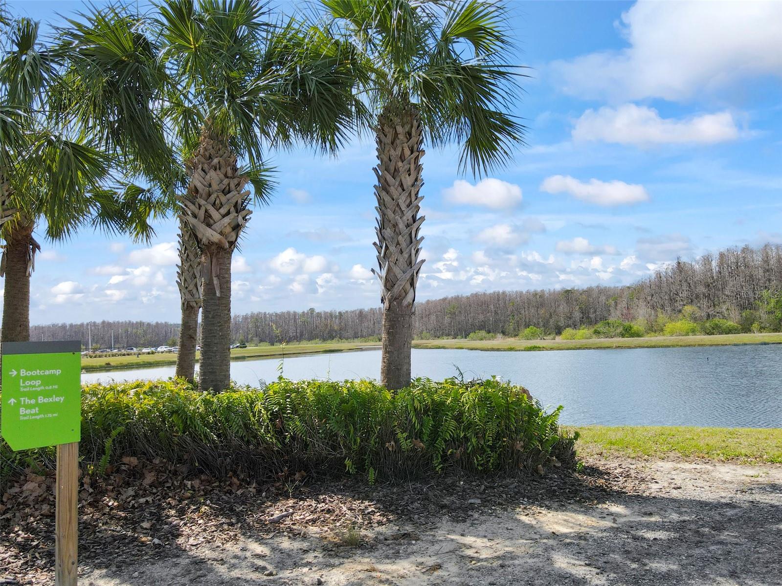 Listing photo id 39 for 4016 Cadence Loop