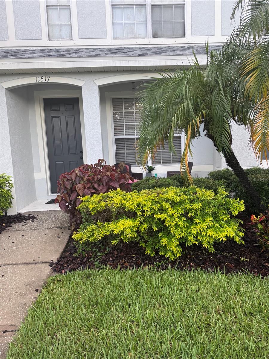 Details for 11517 Declaration Drive, TAMPA, FL 33635