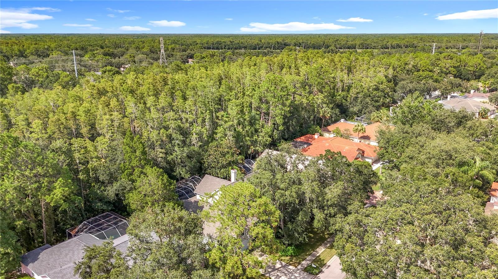 Image 4 of 100 For 7204 Wareham Drive