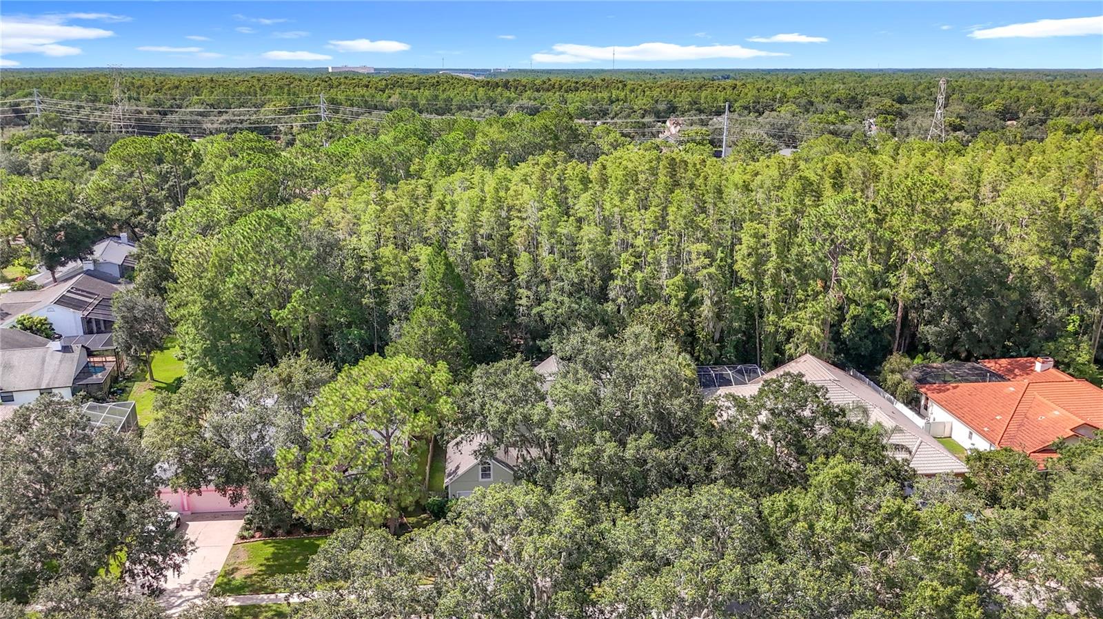 Image 5 of 100 For 7204 Wareham Drive