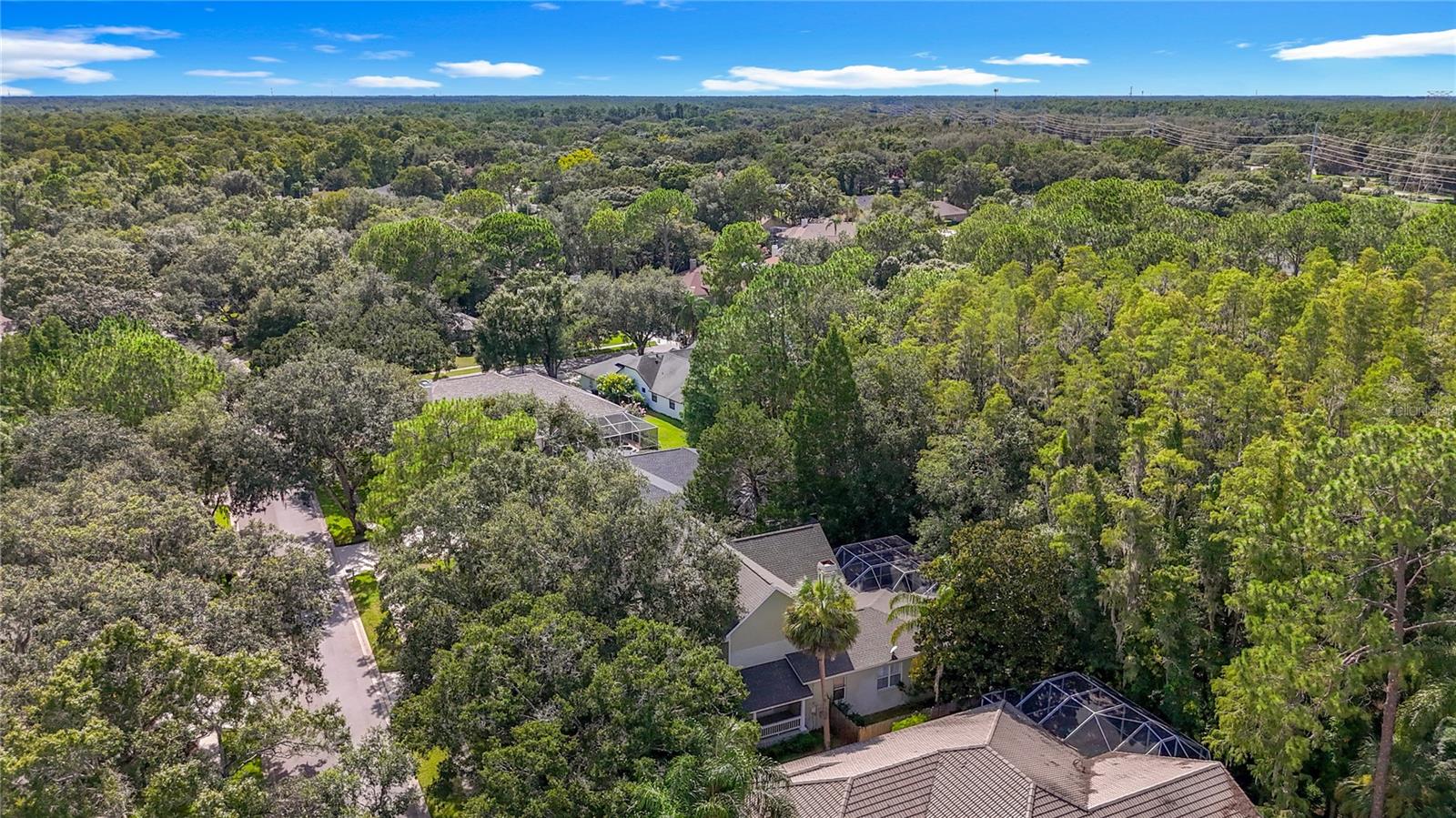 Image 6 of 100 For 7204 Wareham Drive