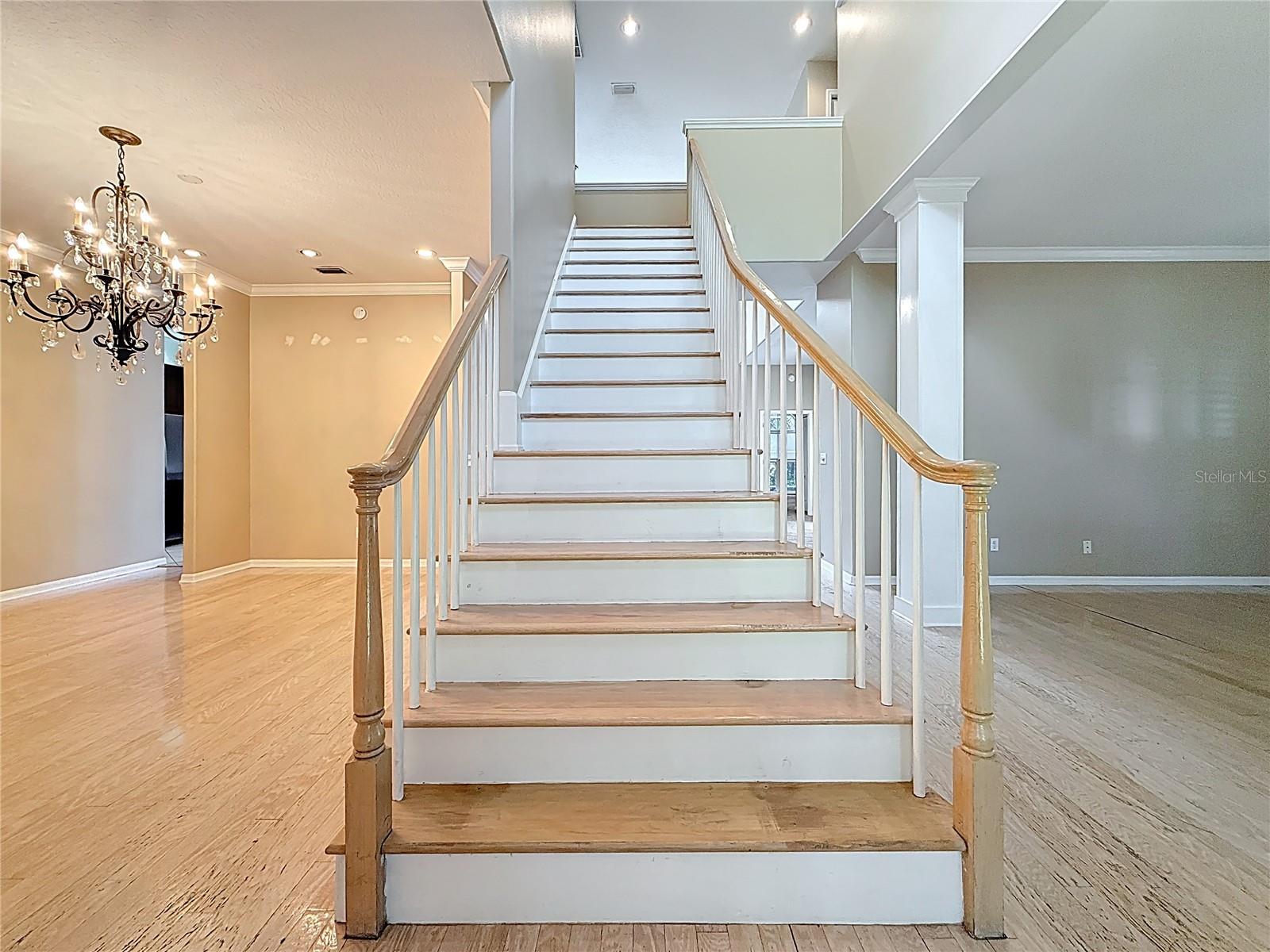 Image 74 of 100 For 7204 Wareham Drive