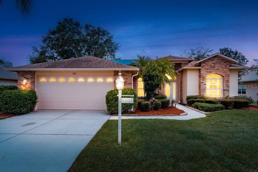 Details for 1251 Rambling Vine Court, TRINITY, FL 34655