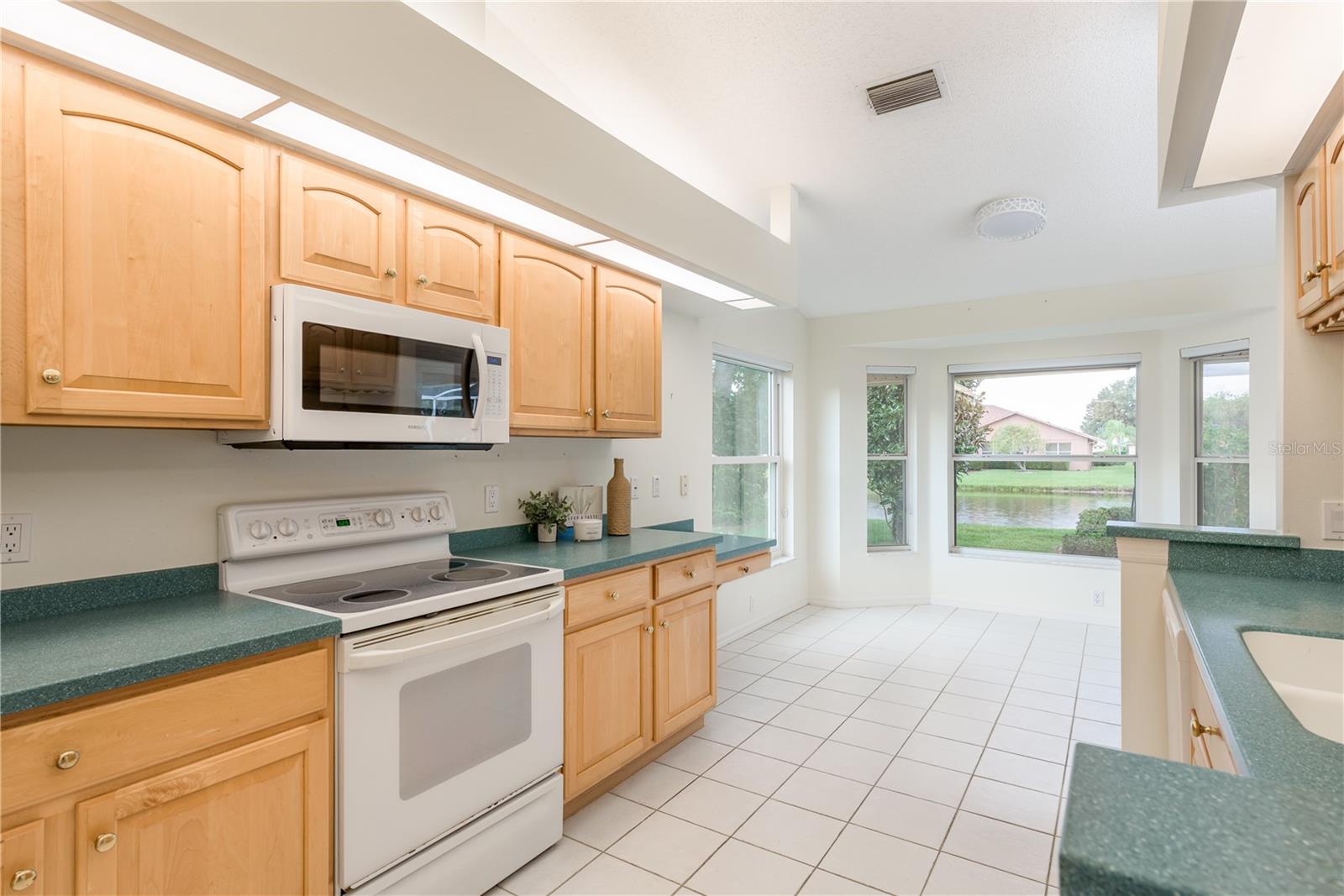 Image 19 of 44 For 1251 Rambling Vine Court