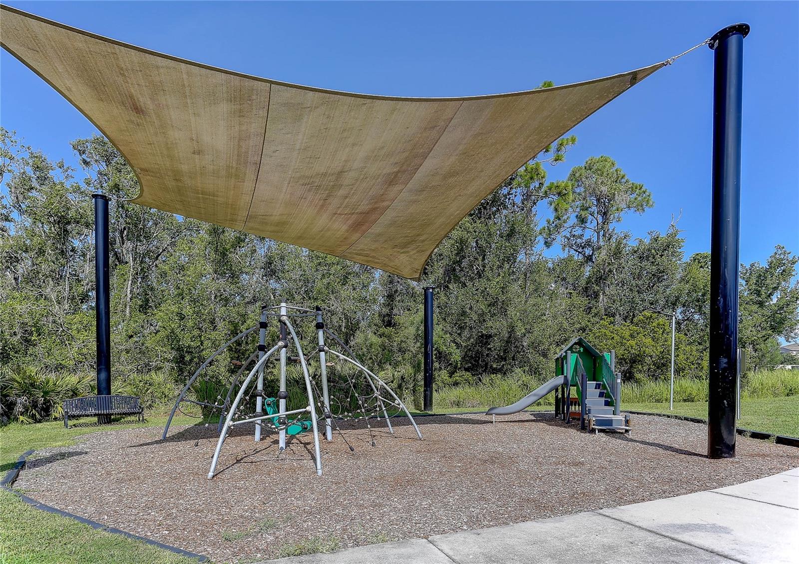 Image 59 of 65 For 17218 White Mangrove Drive