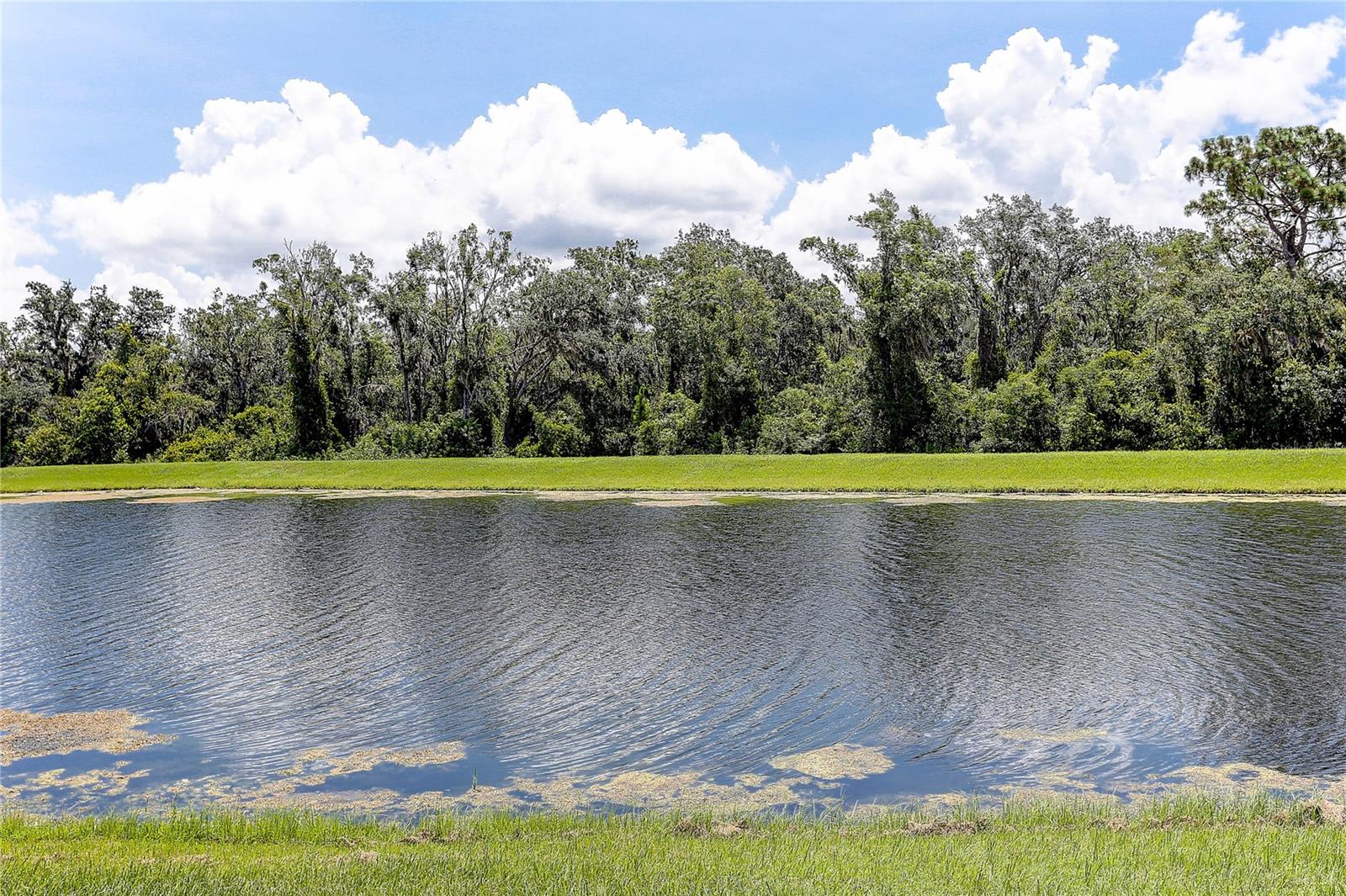 Image 8 of 65 For 17218 White Mangrove Drive