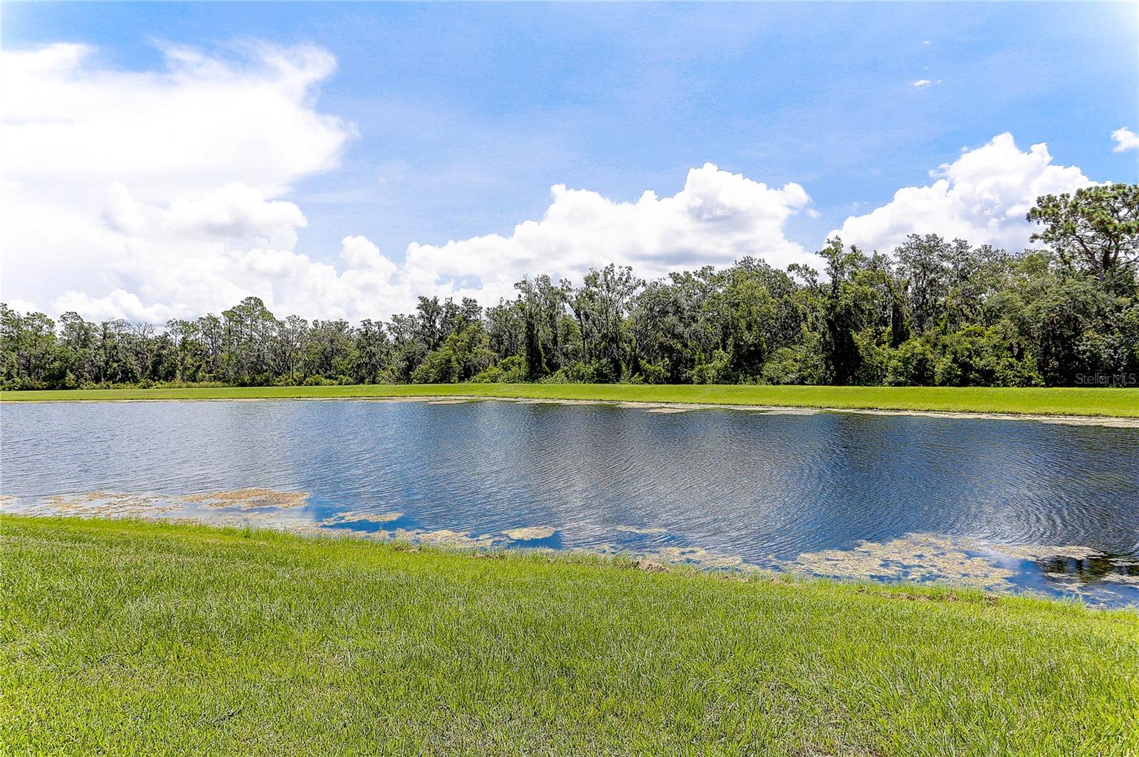 Image 9 of 65 For 17218 White Mangrove Drive