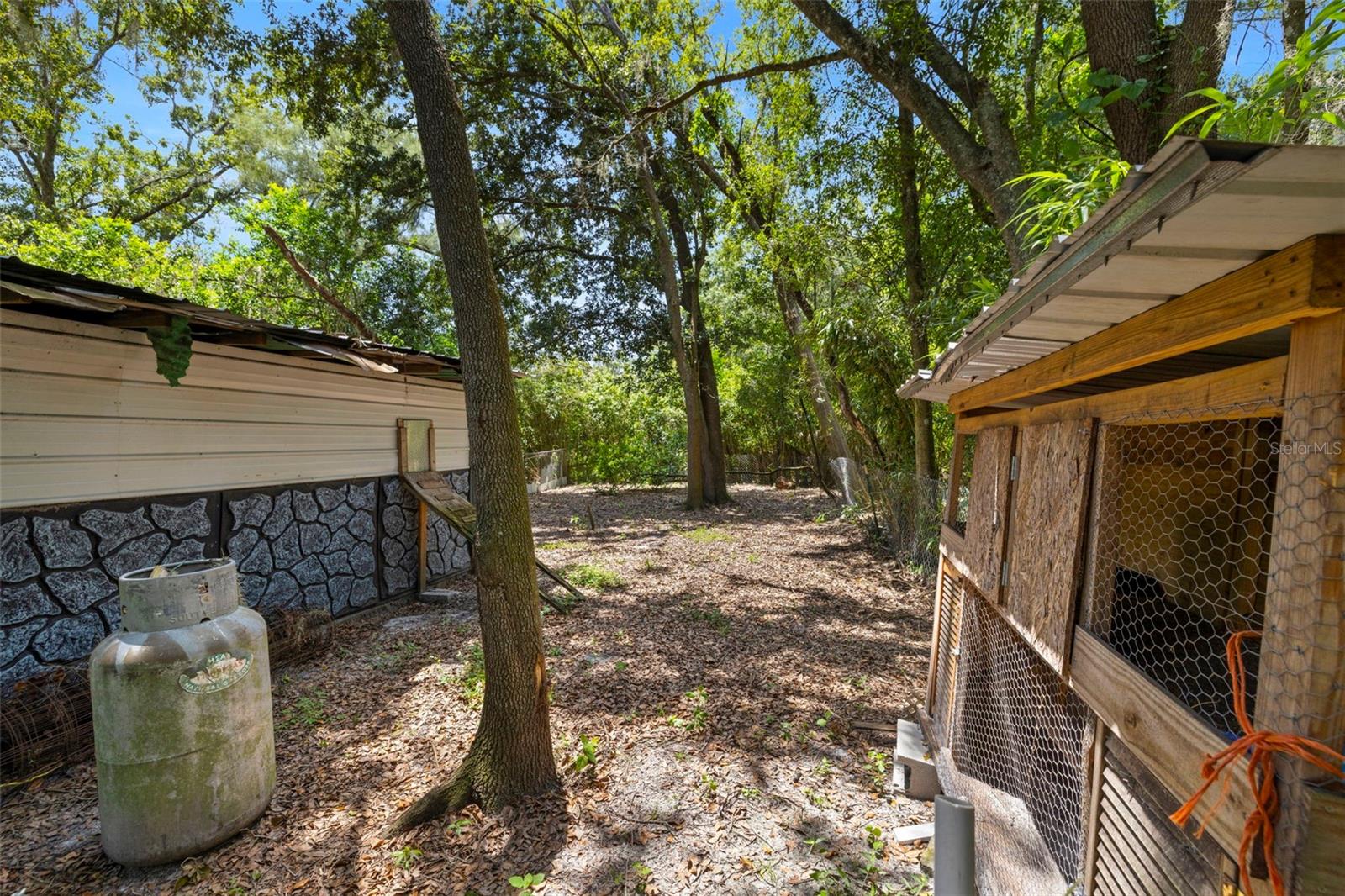 Image 46 of 54 For 26831 Chianina Drive
