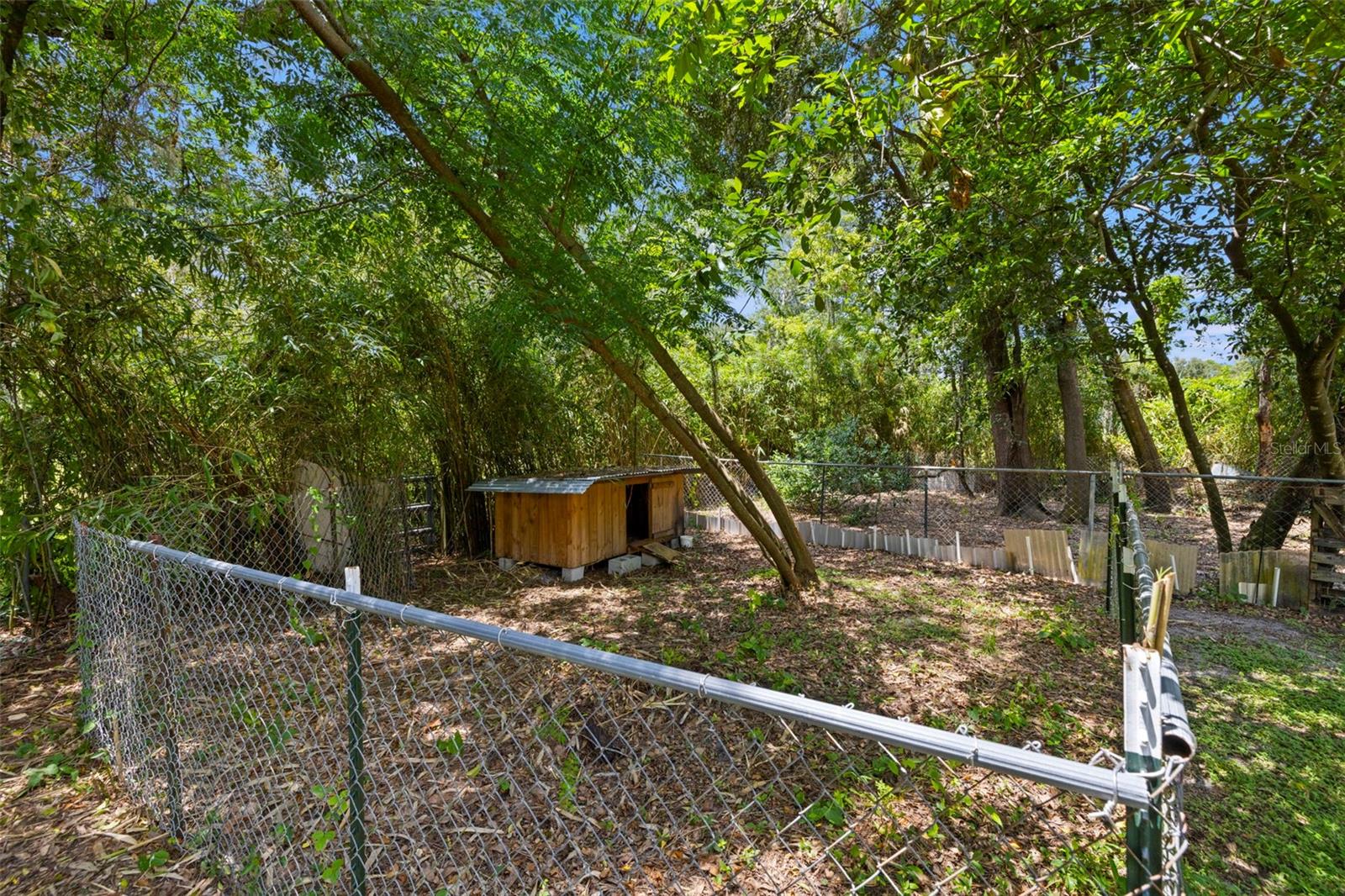 Image 47 of 54 For 26831 Chianina Drive