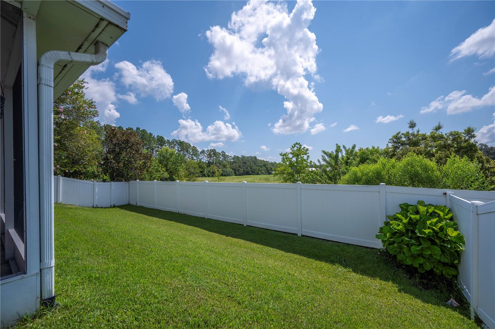 Image 41 of 63 For 5004 Sky Blue Drive