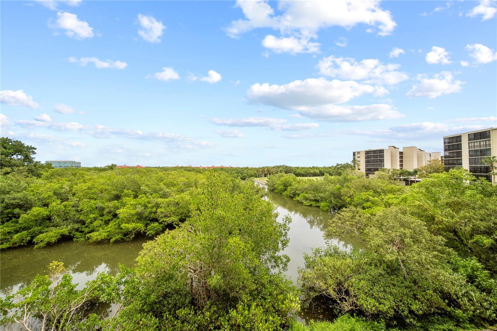 Details for 900 Cove Cay Drive 3e, CLEARWATER, FL 33760