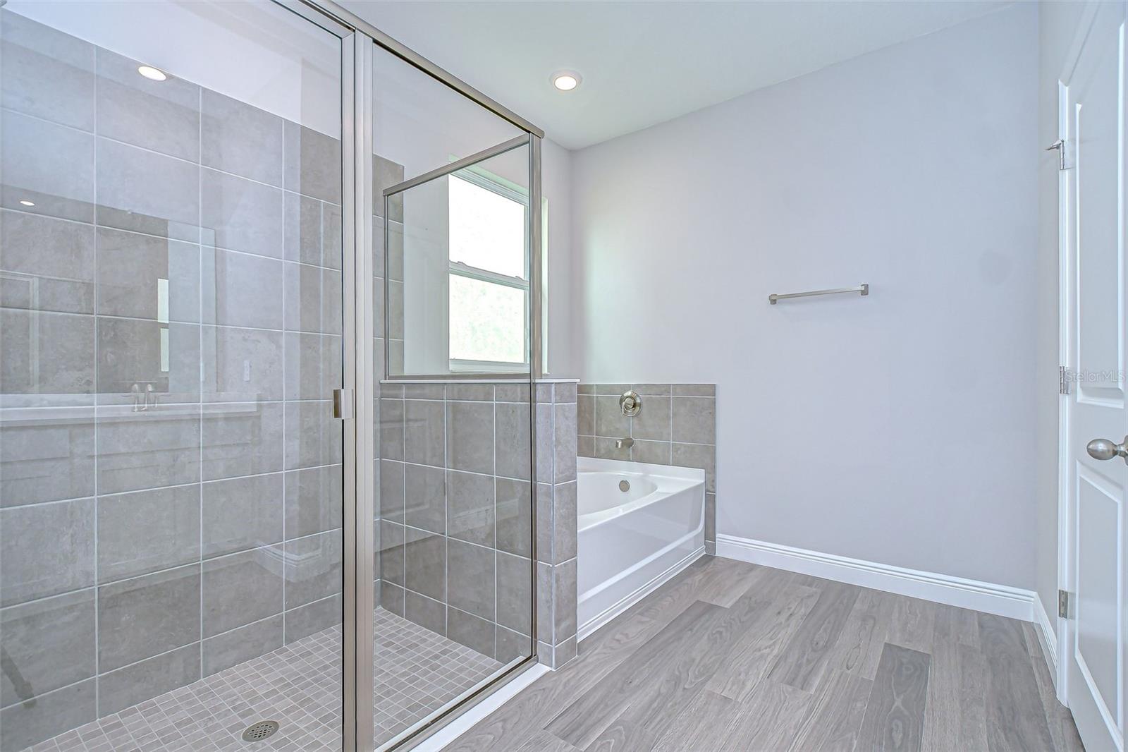 Image 29 of 56 For 2286 Sienna Spruce Street