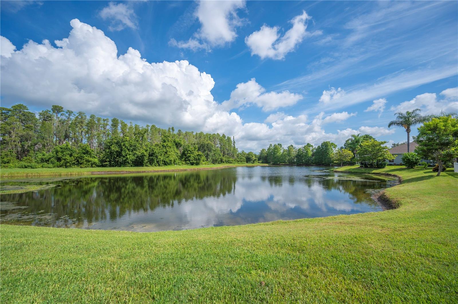 Details for 19443 Everton Place, LAND O LAKES, FL 34638
