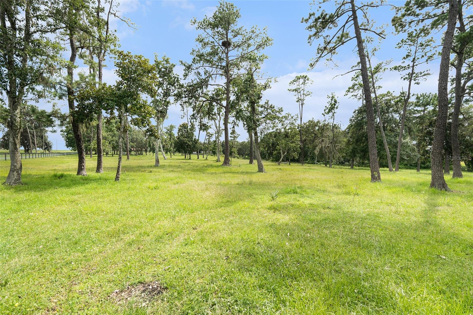 Image 92 of 98 For 30841 Deer Run