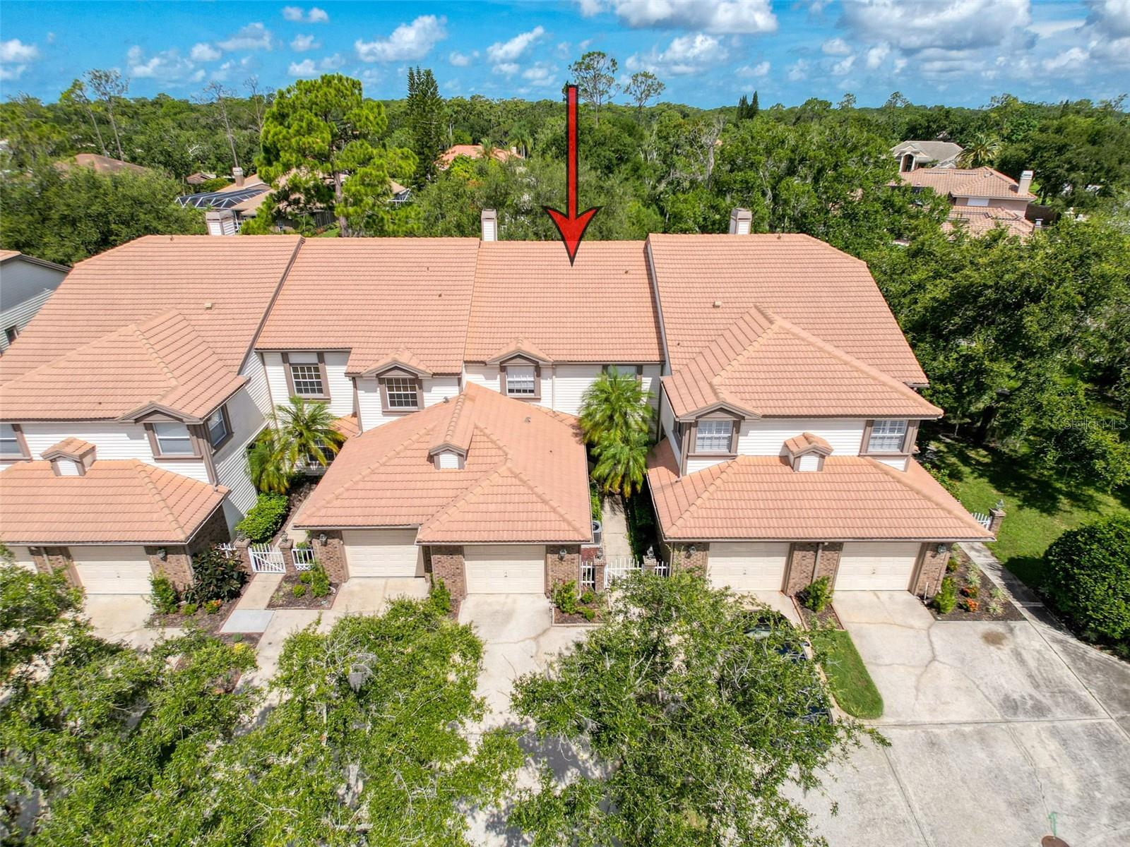 Details for 1292 Clays Trail, OLDSMAR, FL 34677