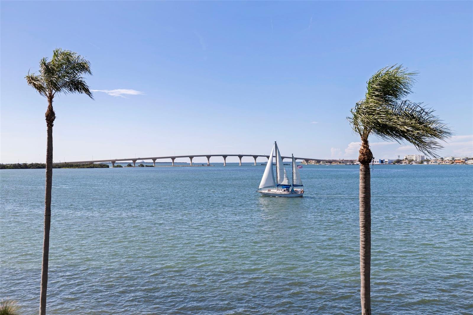 Image 3 of 58 For 6105 Bahia Del Mar Circle 384