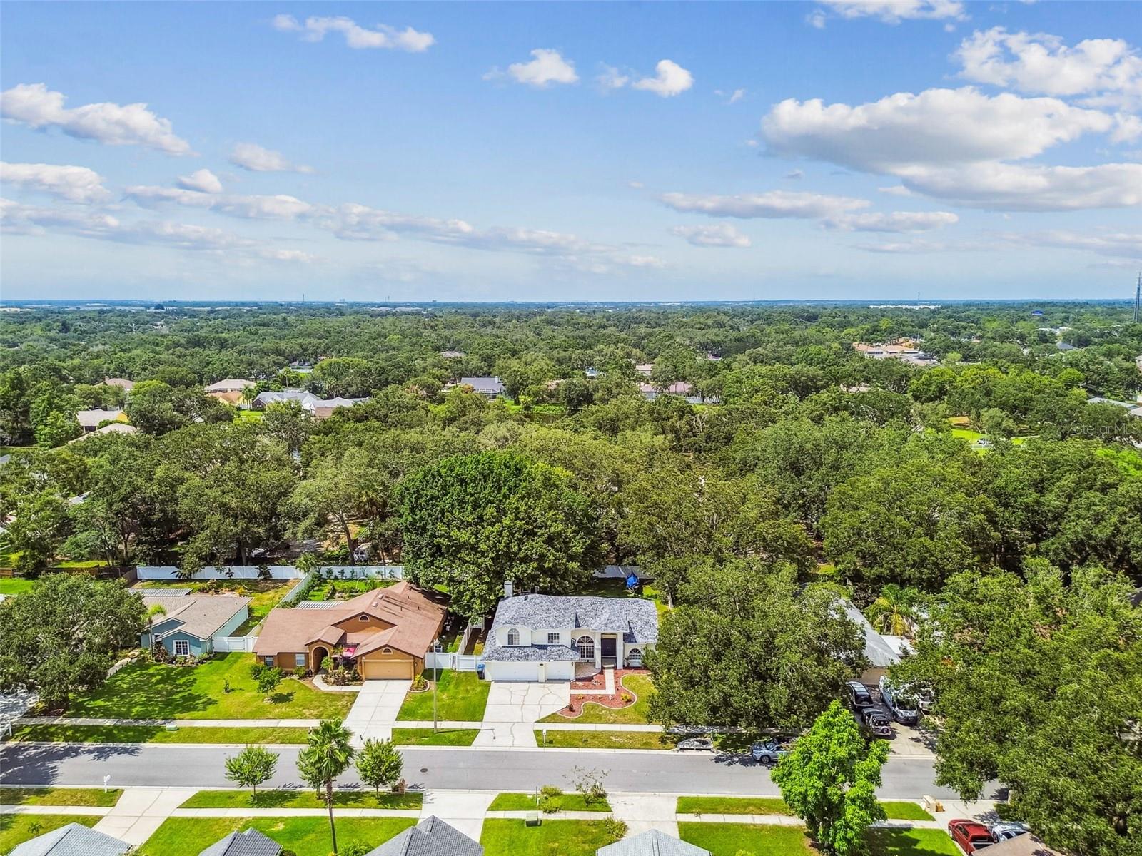 Image 58 of 72 For 10320 Ashley Oaks Drive