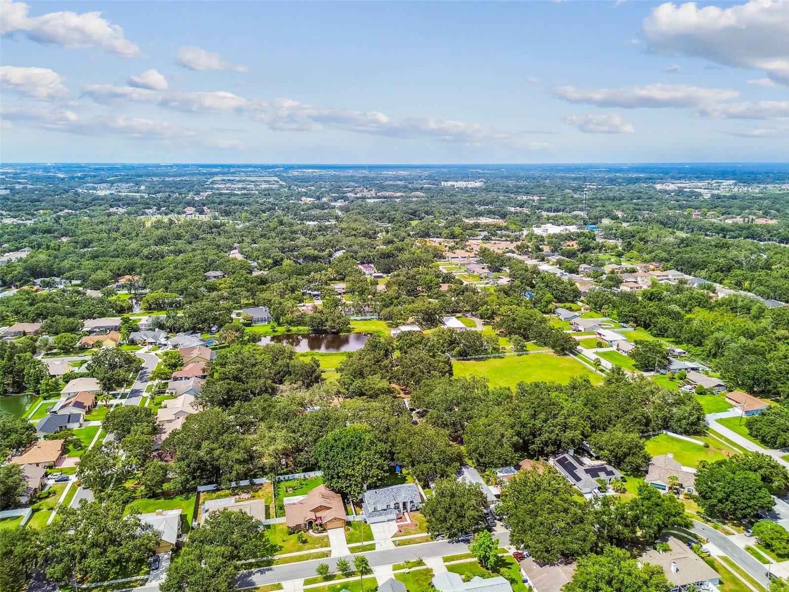 Image 60 of 72 For 10320 Ashley Oaks Drive