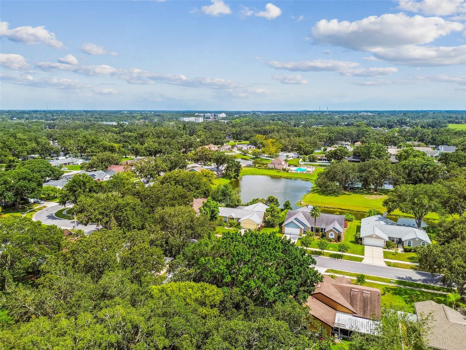 Image 62 of 72 For 10320 Ashley Oaks Drive