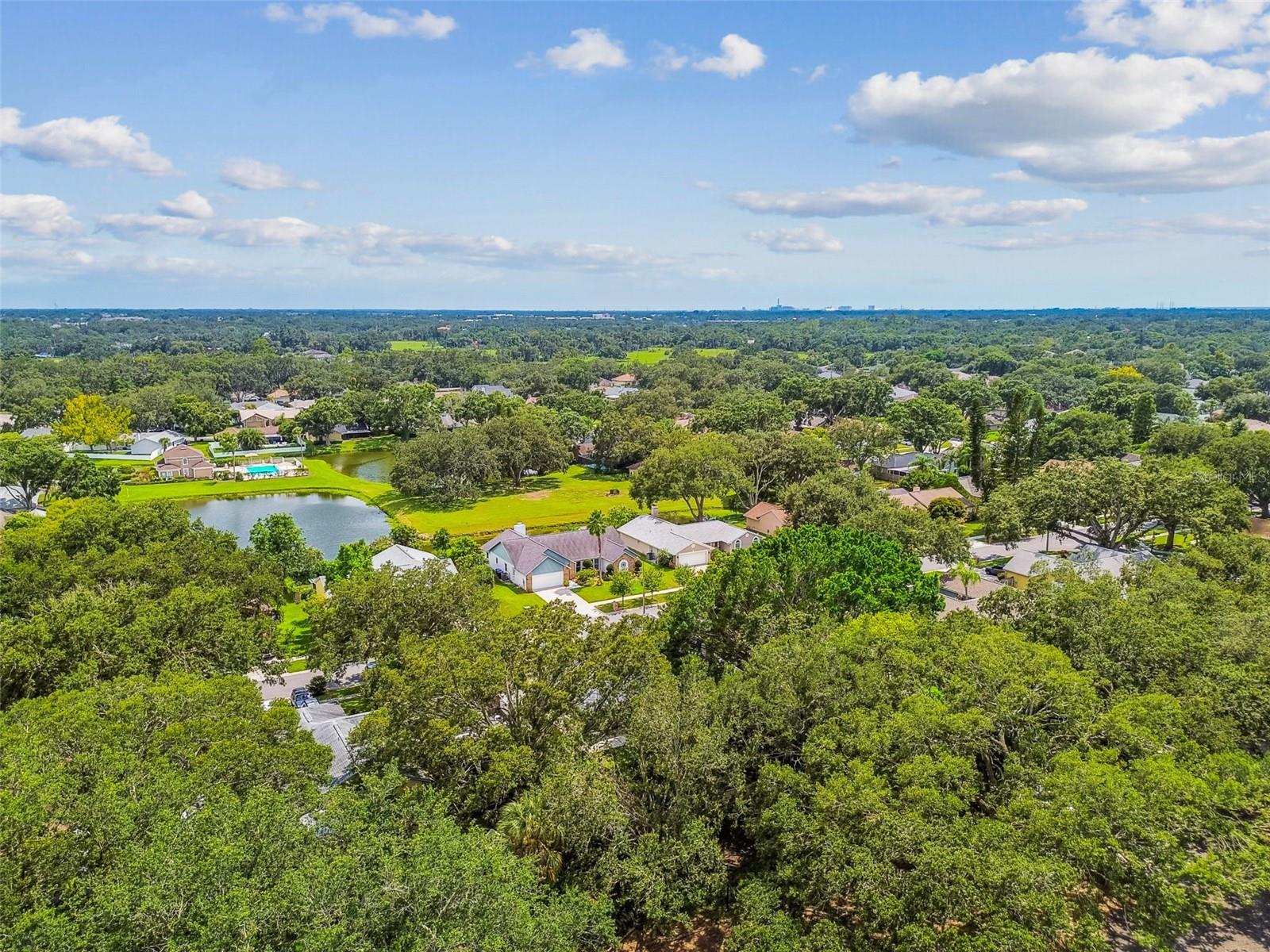 Image 63 of 72 For 10320 Ashley Oaks Drive