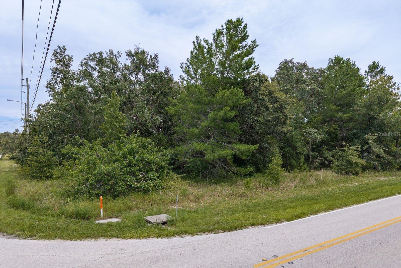 Image 16 of 19 For Pinehurst Drive