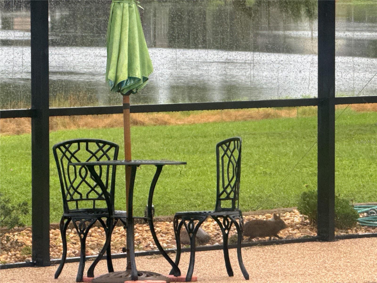 Image 60 of 69 For 3545 Lake Padgett Drive