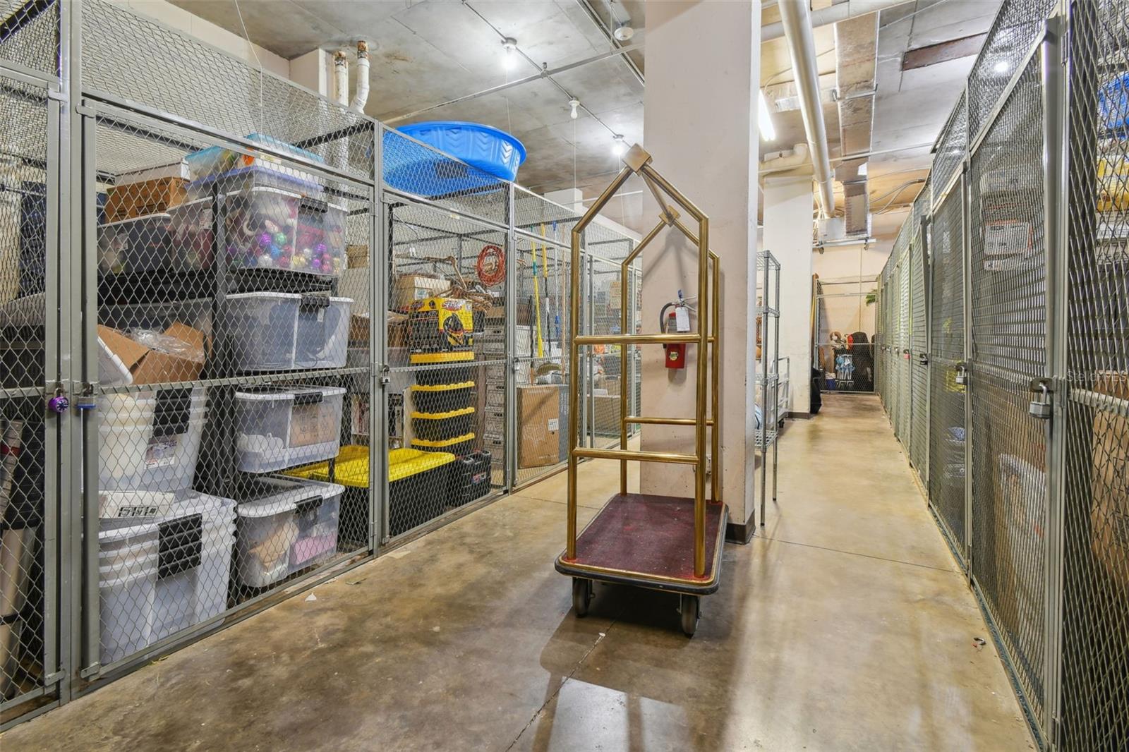 Image 40 of 51 For 2413 Bayshore Boulevard 703