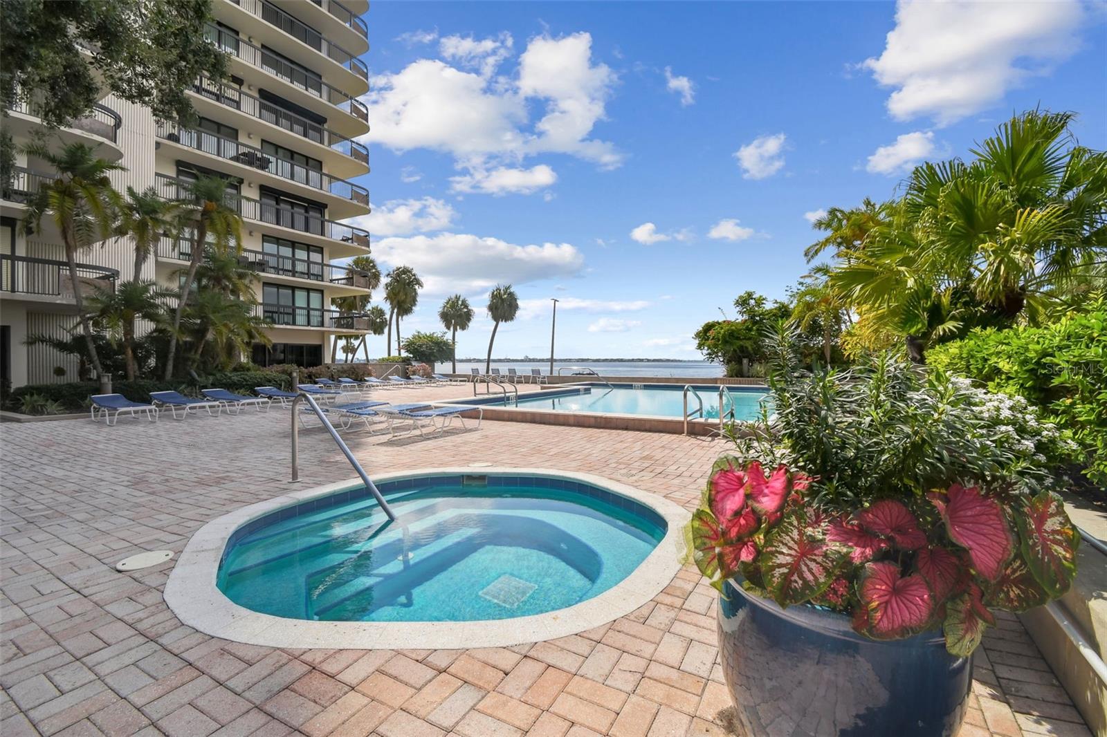 Image 46 of 51 For 2413 Bayshore Boulevard 703
