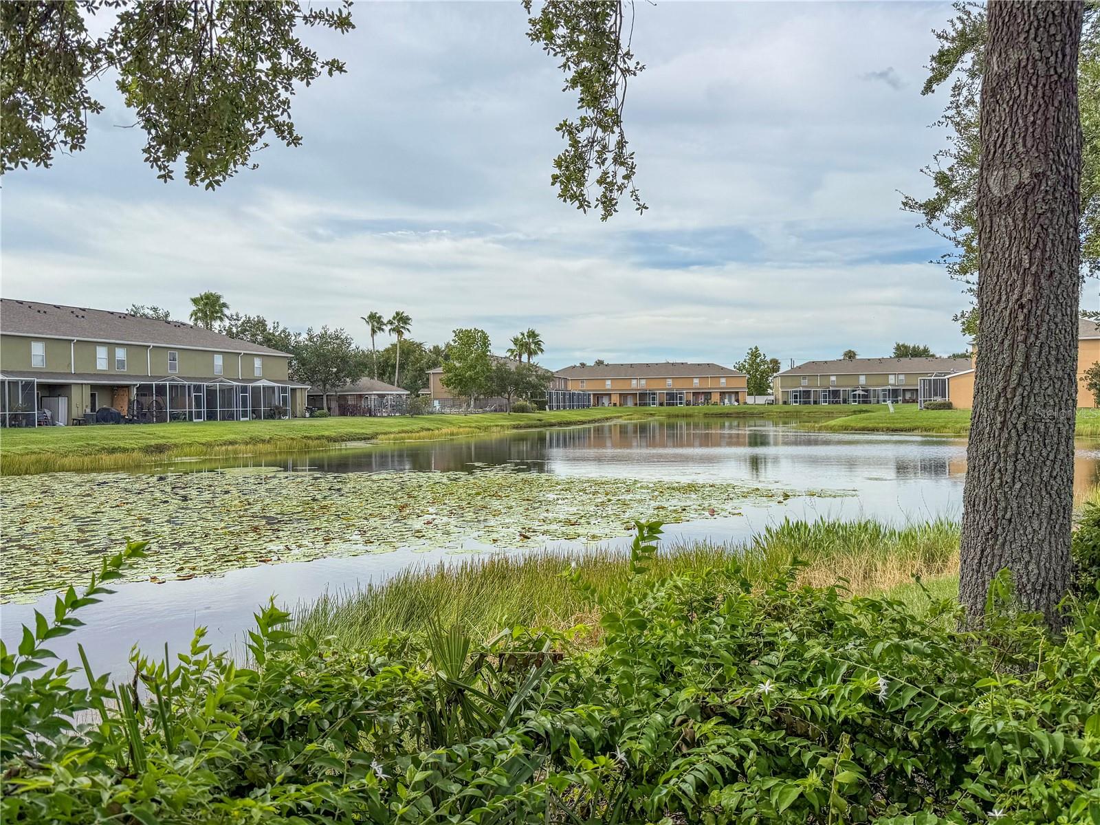 Image 19 of 21 For 12230 Foxmoor Peak Drive