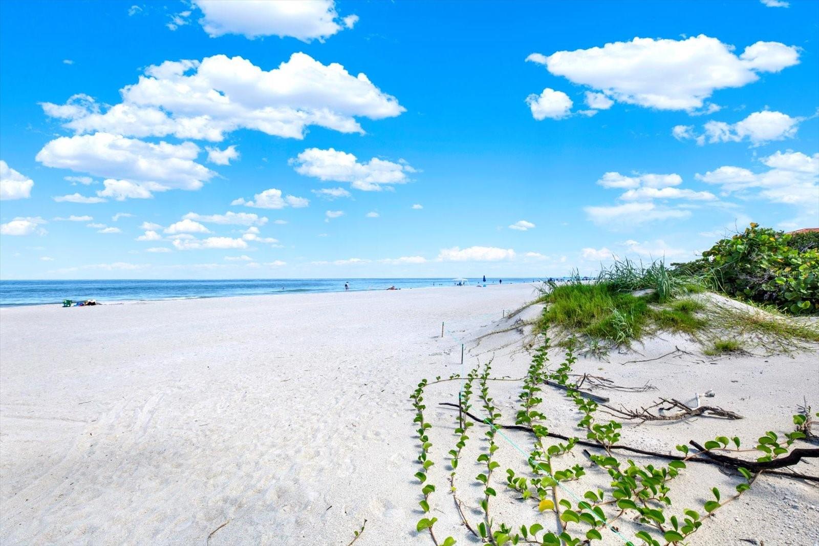 Image 33 of 40 For 812 Gulf Boulevard