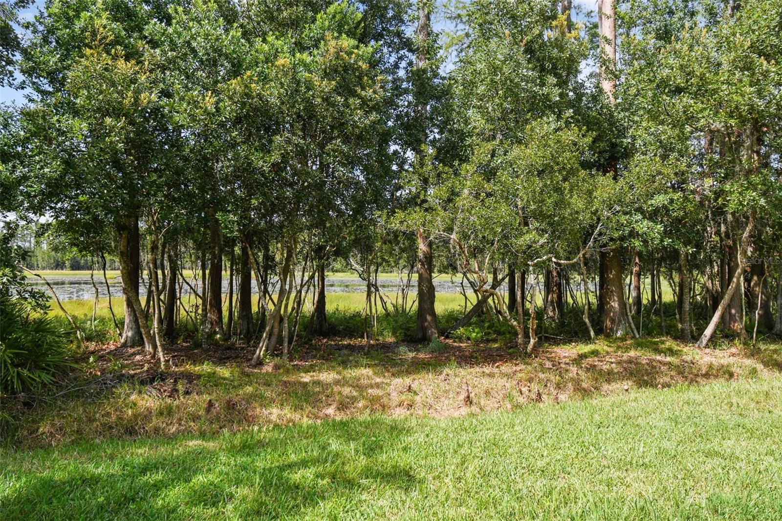 Image 75 of 100 For 21511 Wilderness Lake Boulevard