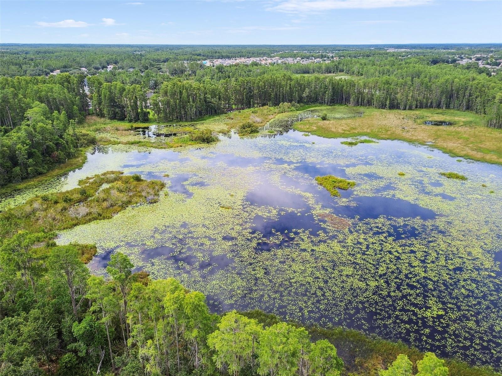 Image 81 of 100 For 21511 Wilderness Lake Boulevard
