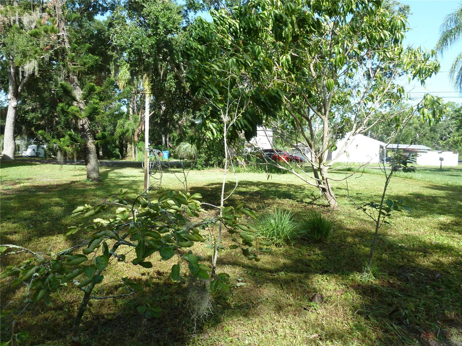 Image 6 of 9 For Seagull Way