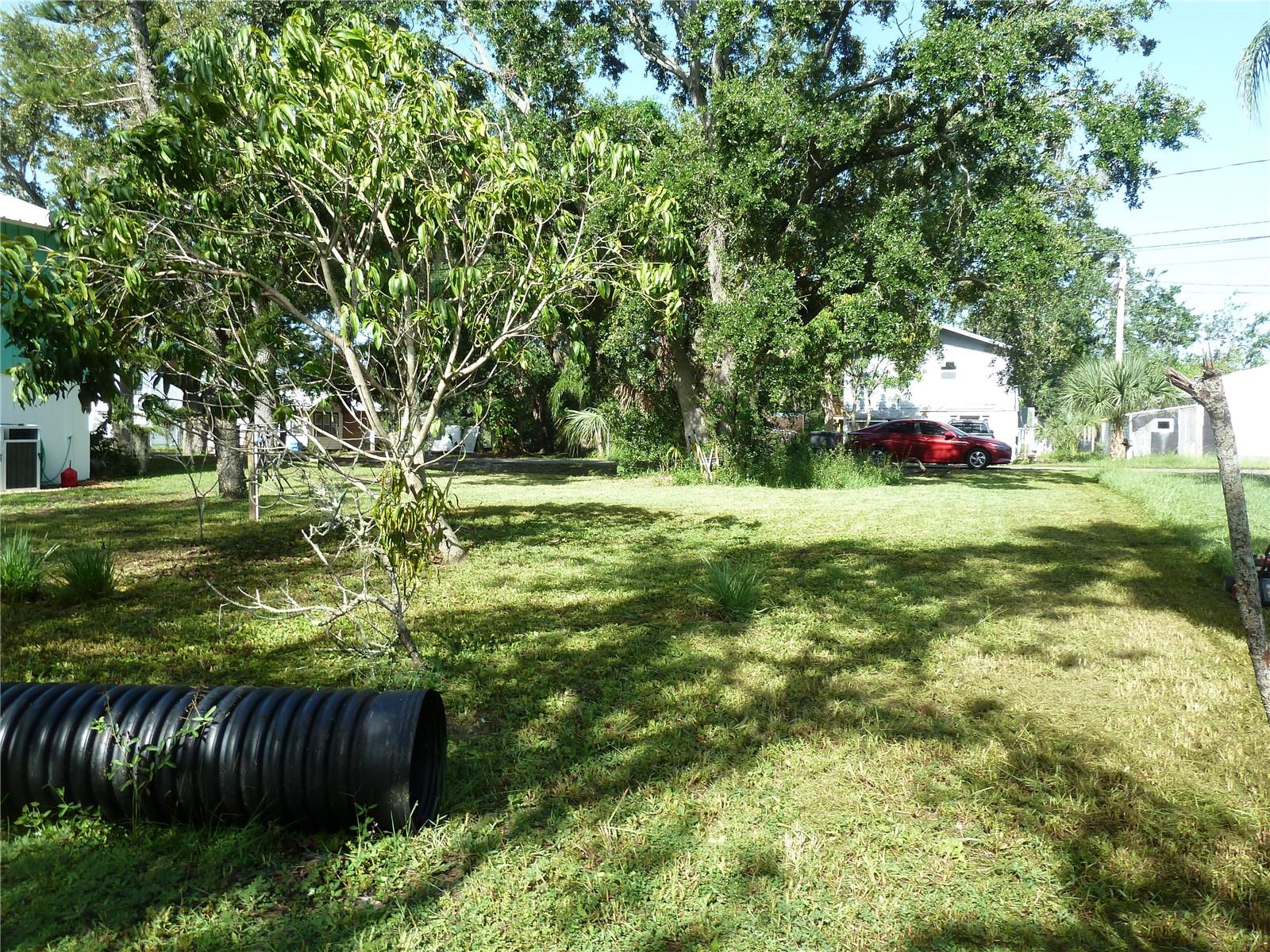 Image 7 of 9 For Seagull Way