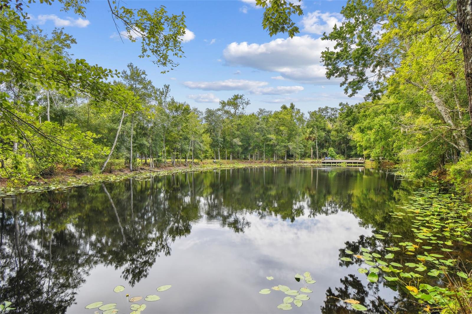 Listing photo id 8 for 2612 Regal Oaks Lane