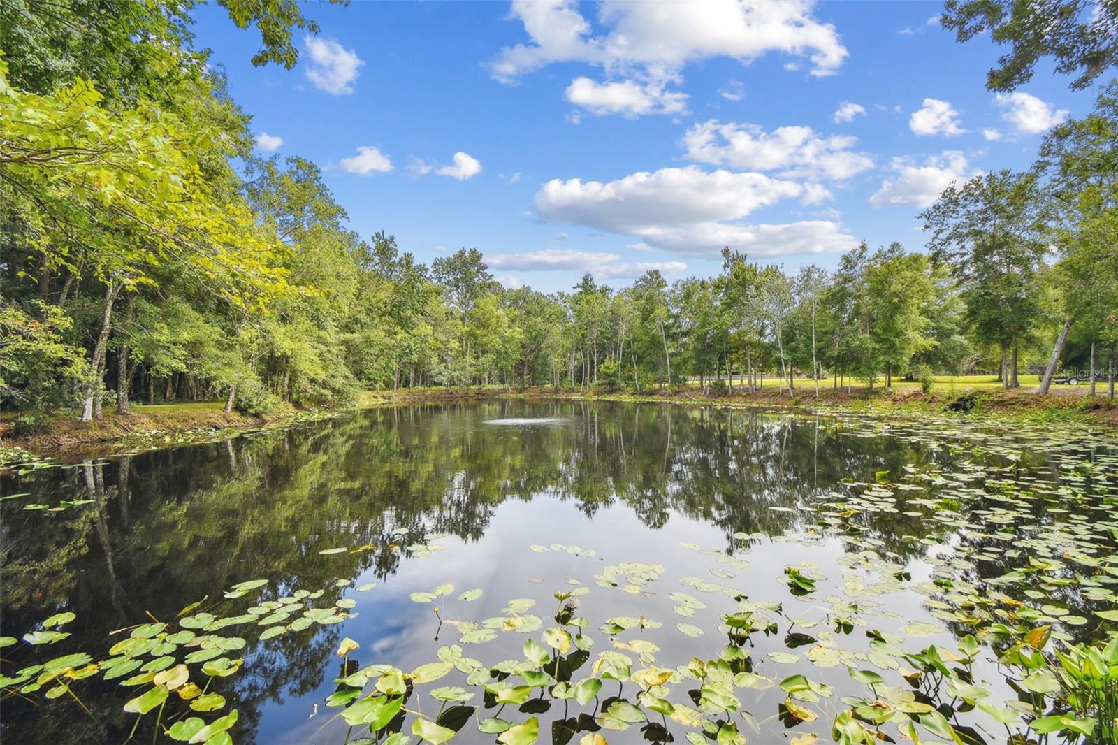 Listing photo id 15 for 2612 Regal Oaks Lane