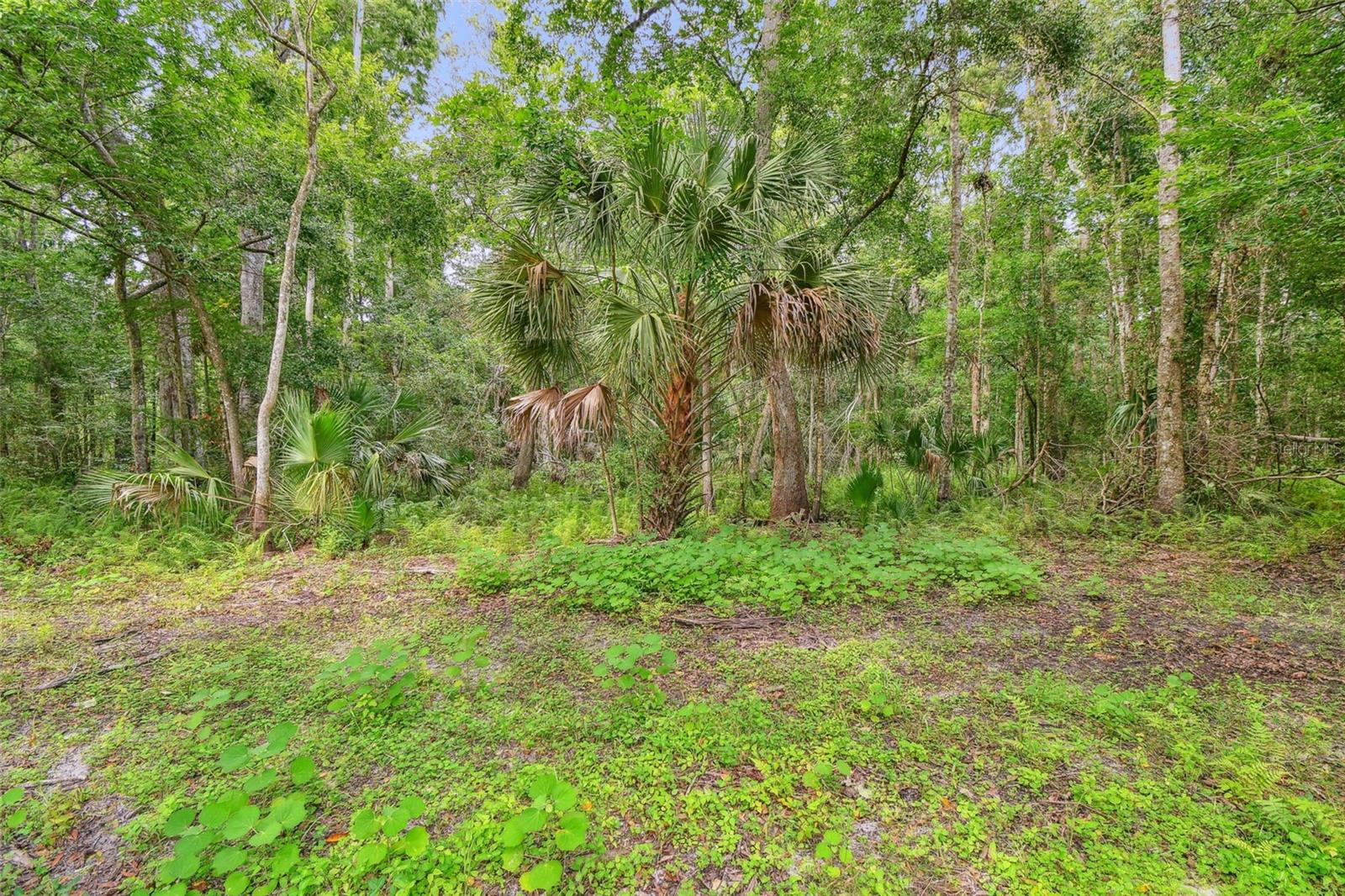 Listing photo id 17 for 2612 Regal Oaks Lane