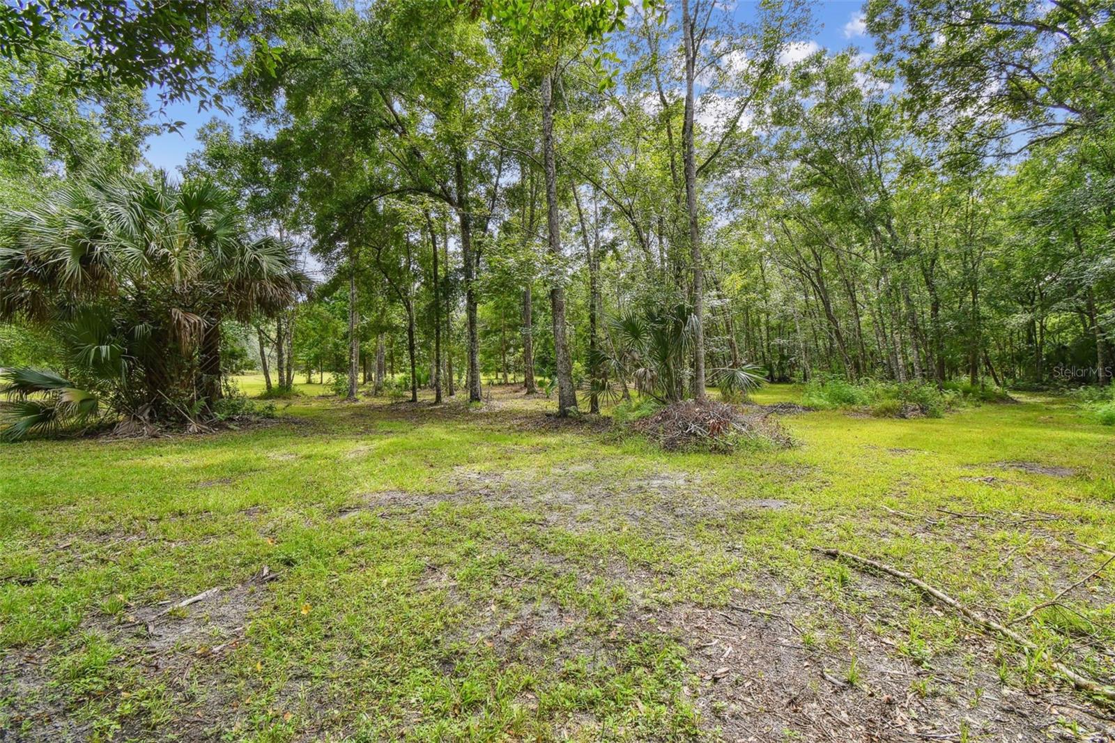 Listing photo id 18 for 2612 Regal Oaks Lane