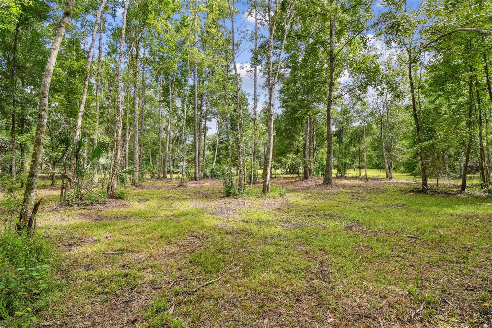 Listing photo id 19 for 2612 Regal Oaks Lane