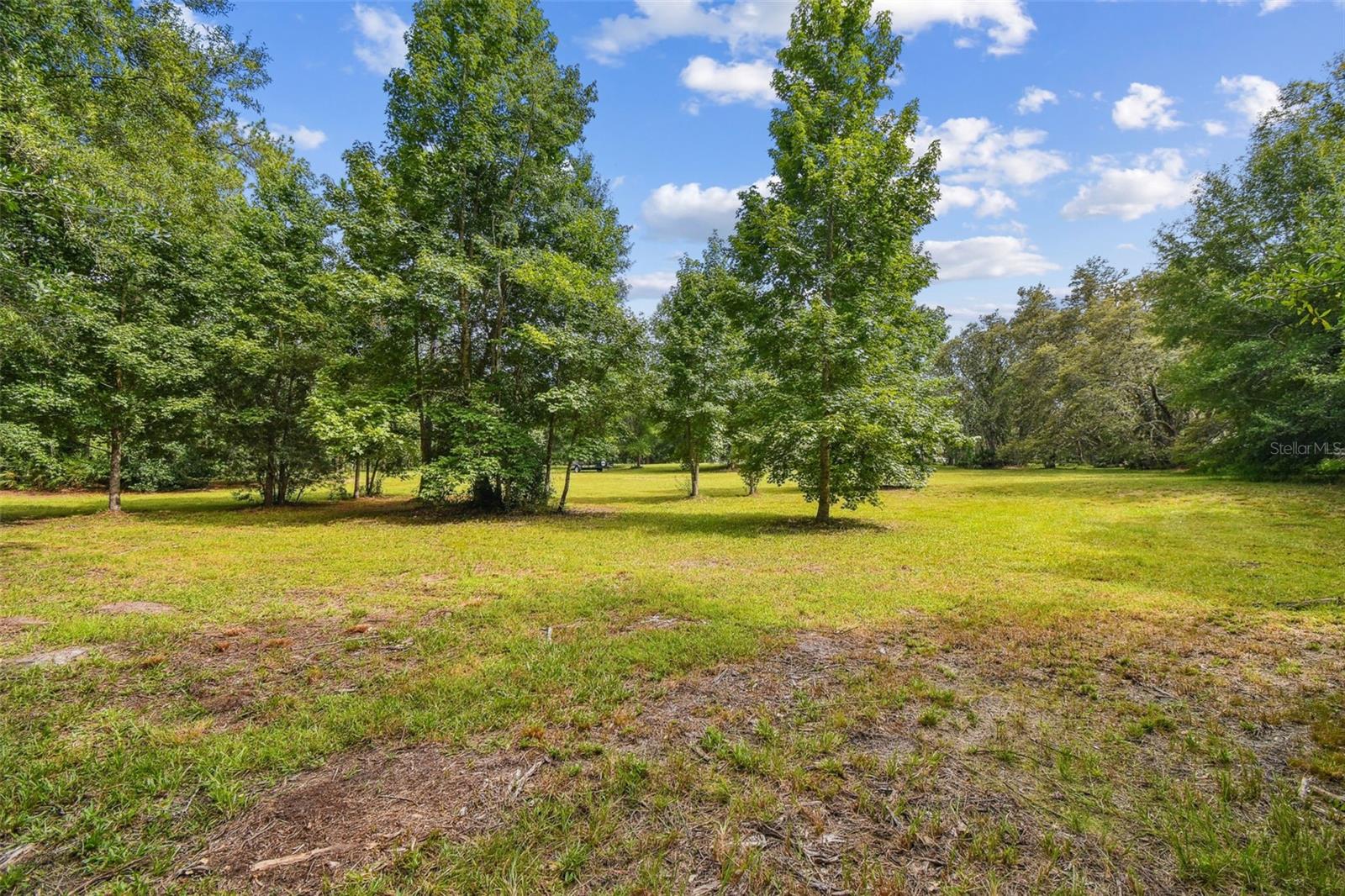 Listing photo id 21 for 2612 Regal Oaks Lane