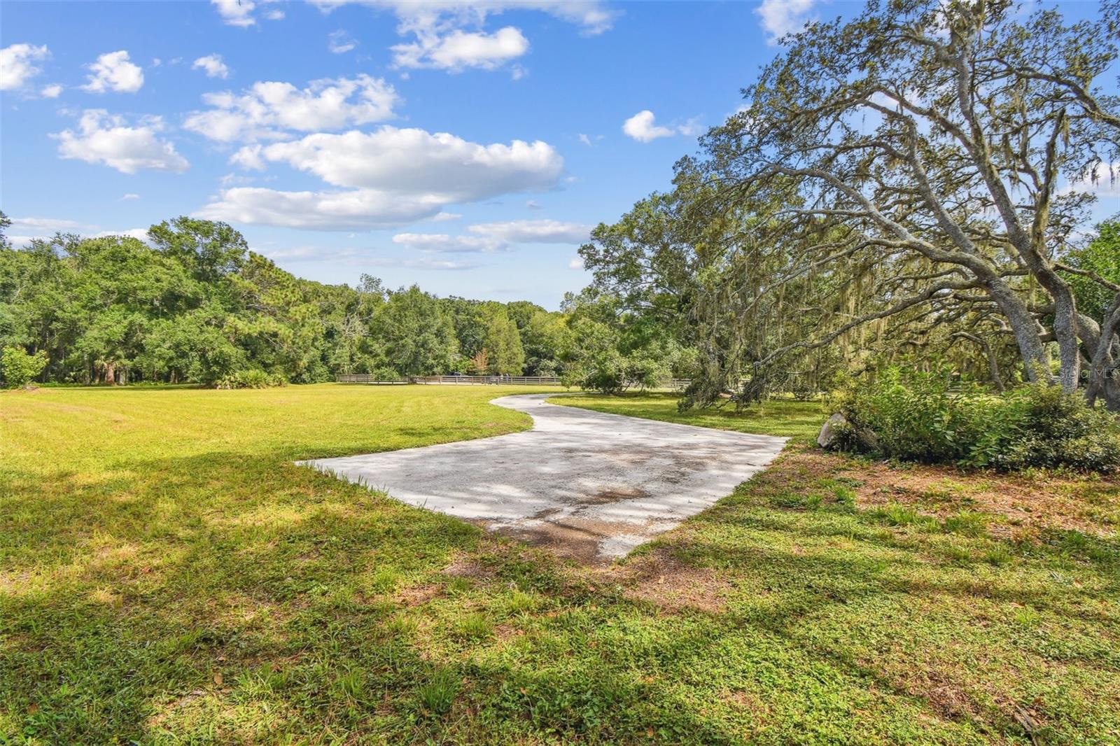 Listing photo id 28 for 2612 Regal Oaks Lane