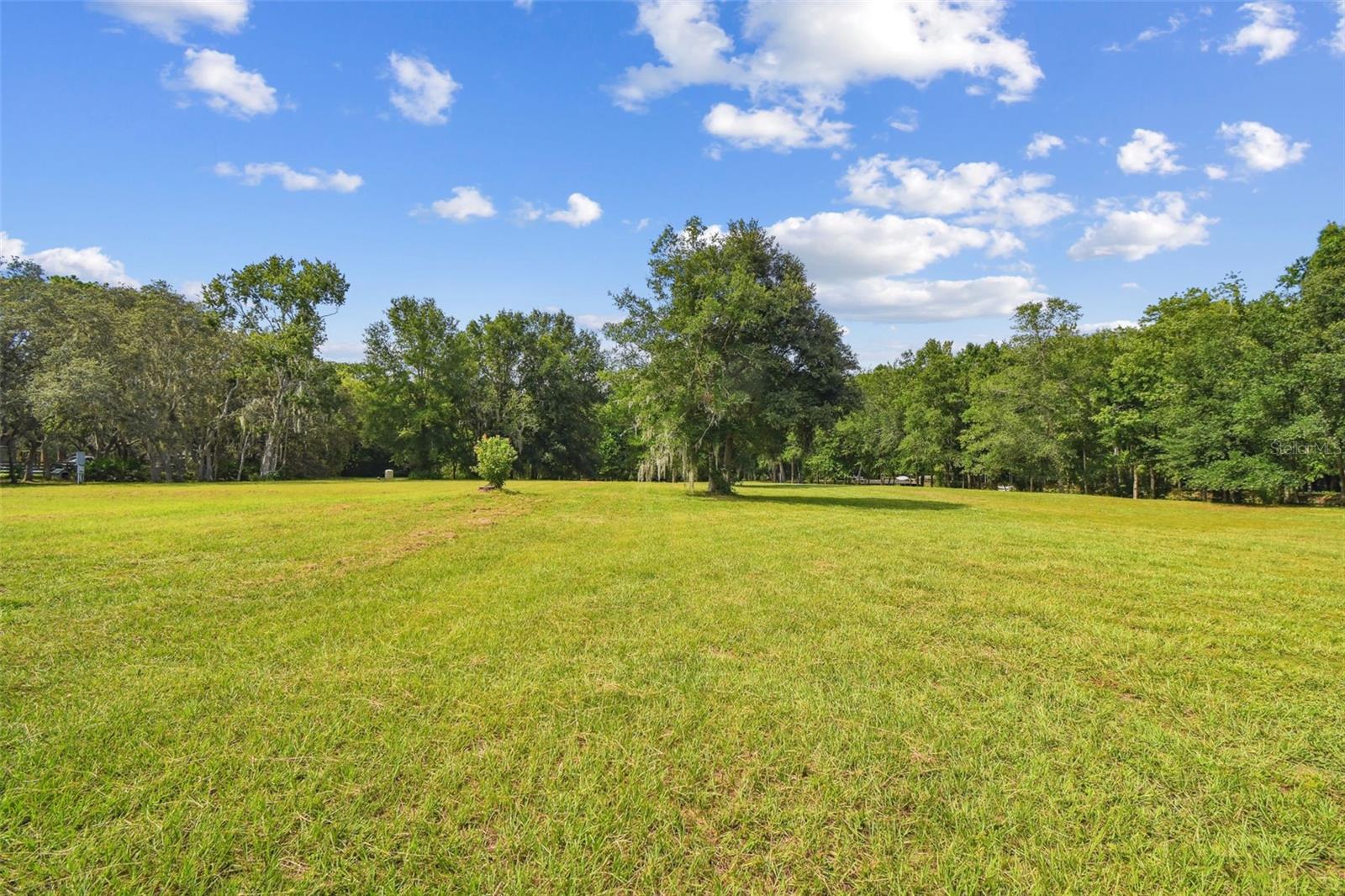 Listing photo id 31 for 2612 Regal Oaks Lane